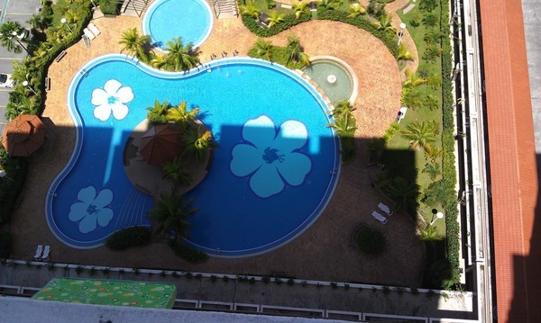 Platinum Lake PV10 image 4